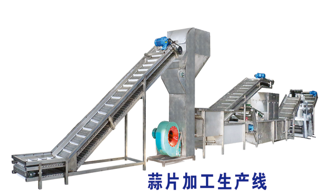蒜片生产线
