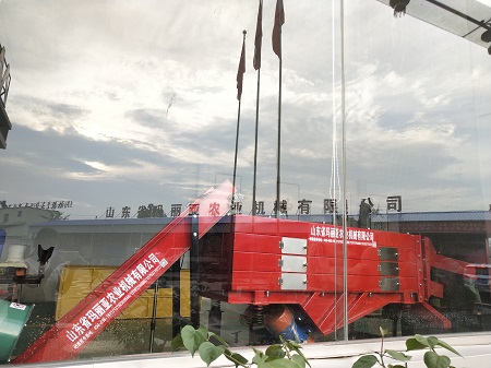 成人无玛WWW妖精视频在线观看