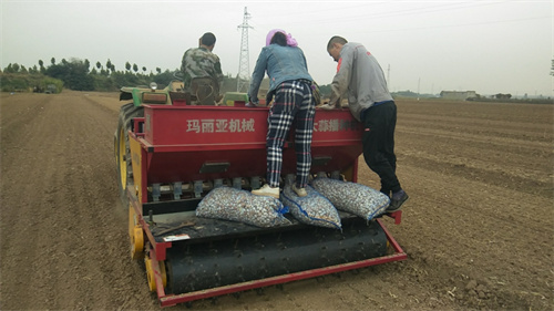 妖精视频污版种植